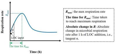 Soil Moisture Affects the Rapid Response of Microbes to Labile Organic C Addition